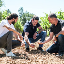 Vignerons de Foncalieu