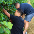 Vignerons d'Anne de Joyeuse - La Butinière rouge 2020 - Anne de Joyeuse - 75 cl