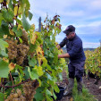 Vignerons de Lugny - Crémant de Bourgogne Brut Extatic - Cave de Lugny - 75 cl