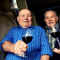 Vignerons de Caramany