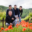 Famille Verhaeghe - Le Cèdre 2022 - Château du Cèdre - 75 cl