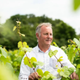 Philippe Sauger - Cour Cheverny Des Lys 2024 - Domaine Sauger - 75 cl